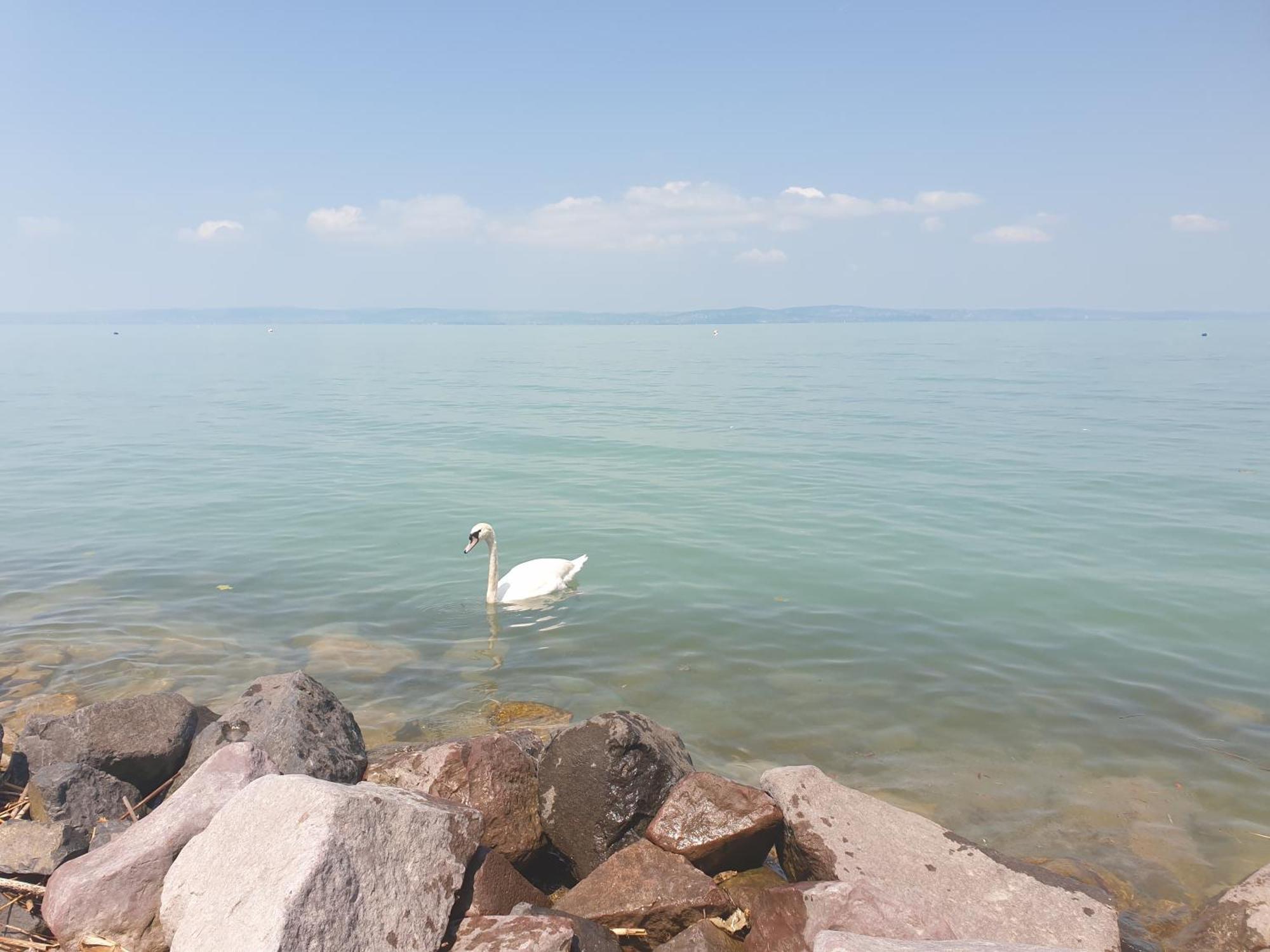 Balaton Lakeside Residence Siófok Eksteriør billede